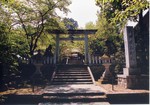 忠孝苑日誌
