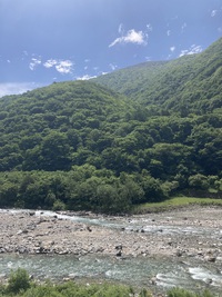 今日の川