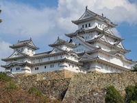 アルテミスステークス　予想