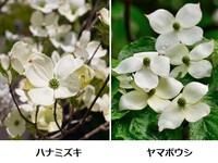 2025年06月06日（金）／晴れのち曇り